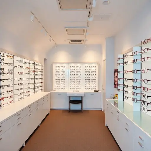 Mott Street Optical