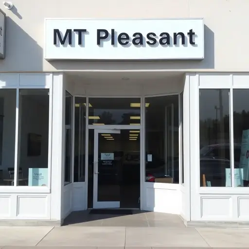 mt-pleasant