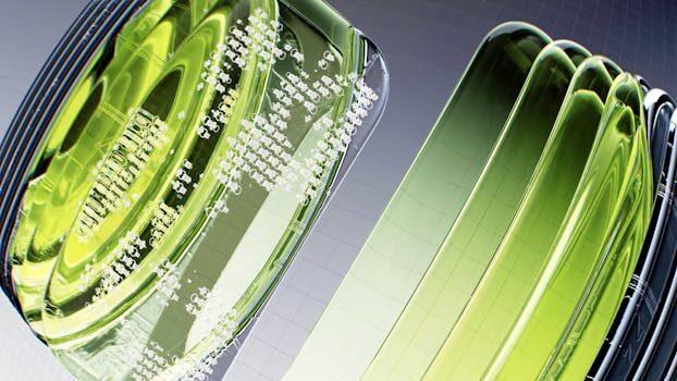 pticas en georgia baratas 4