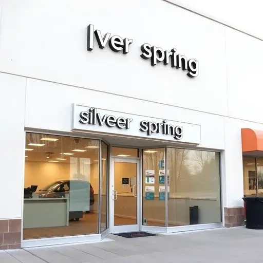 silver-spring